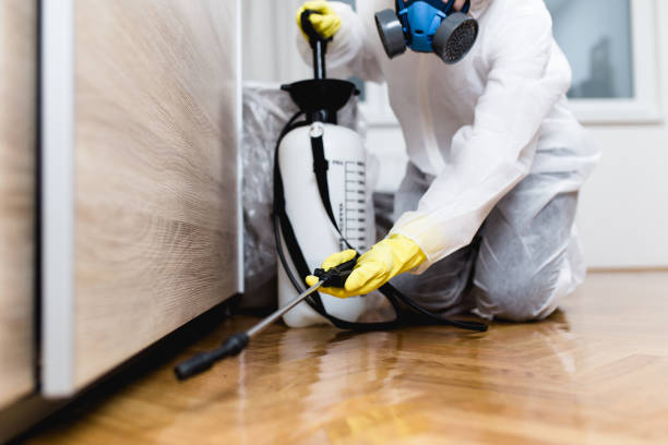 Trusted Destin, FL Pest Control Experts