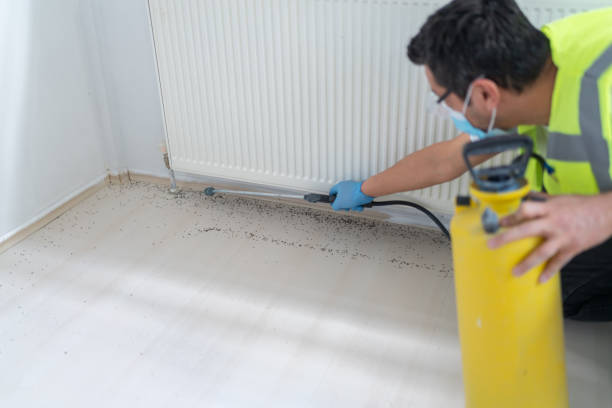 Best Exterminator Services  in Destin, FL
